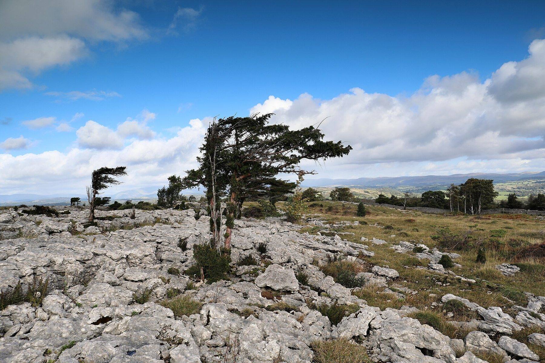 Whitbarrow Scar and Lord's Seat from Mill Side