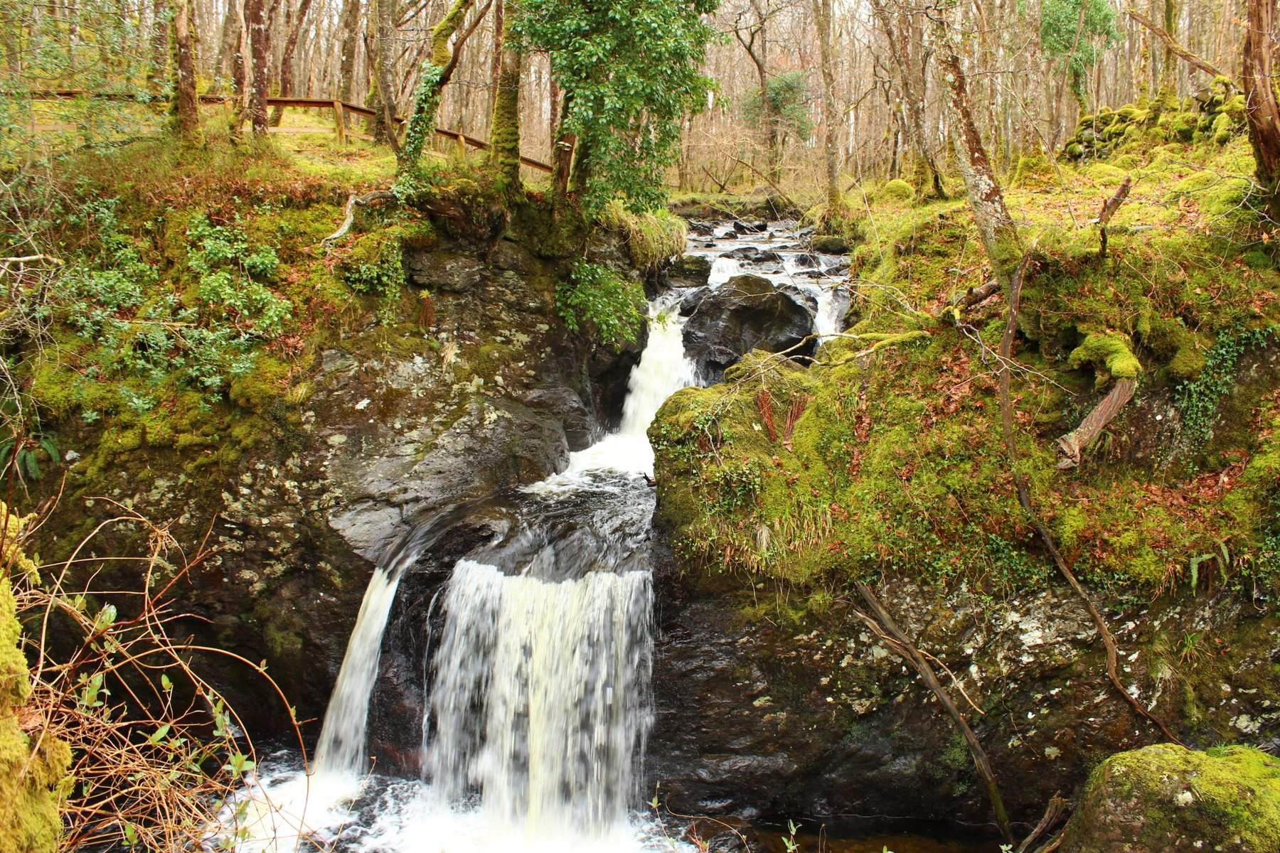 Wood of Cree Woodland and Scrubland Trails