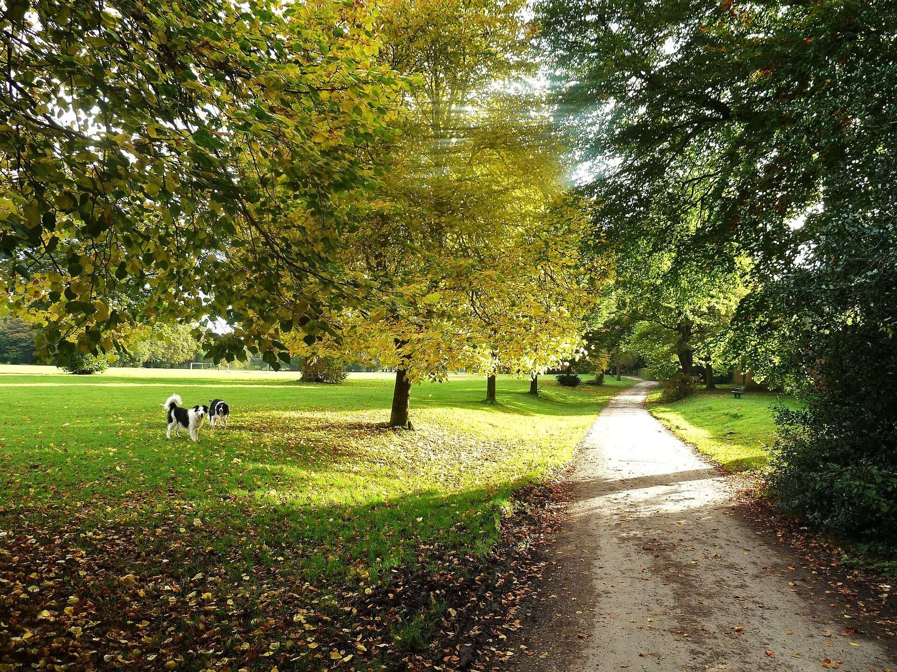 Worden Park, Leyland