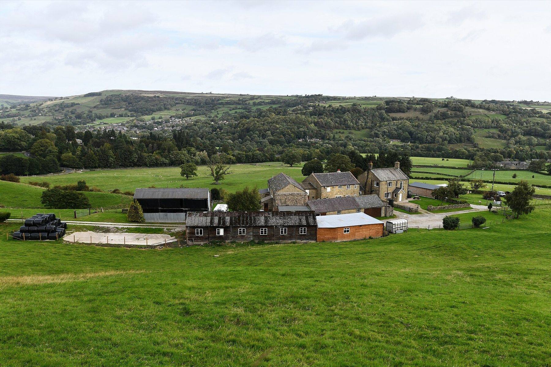 Yorke's Folly and Guisecliff Wood from Bewerley